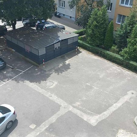 Domiapart Torun Bagian luar foto